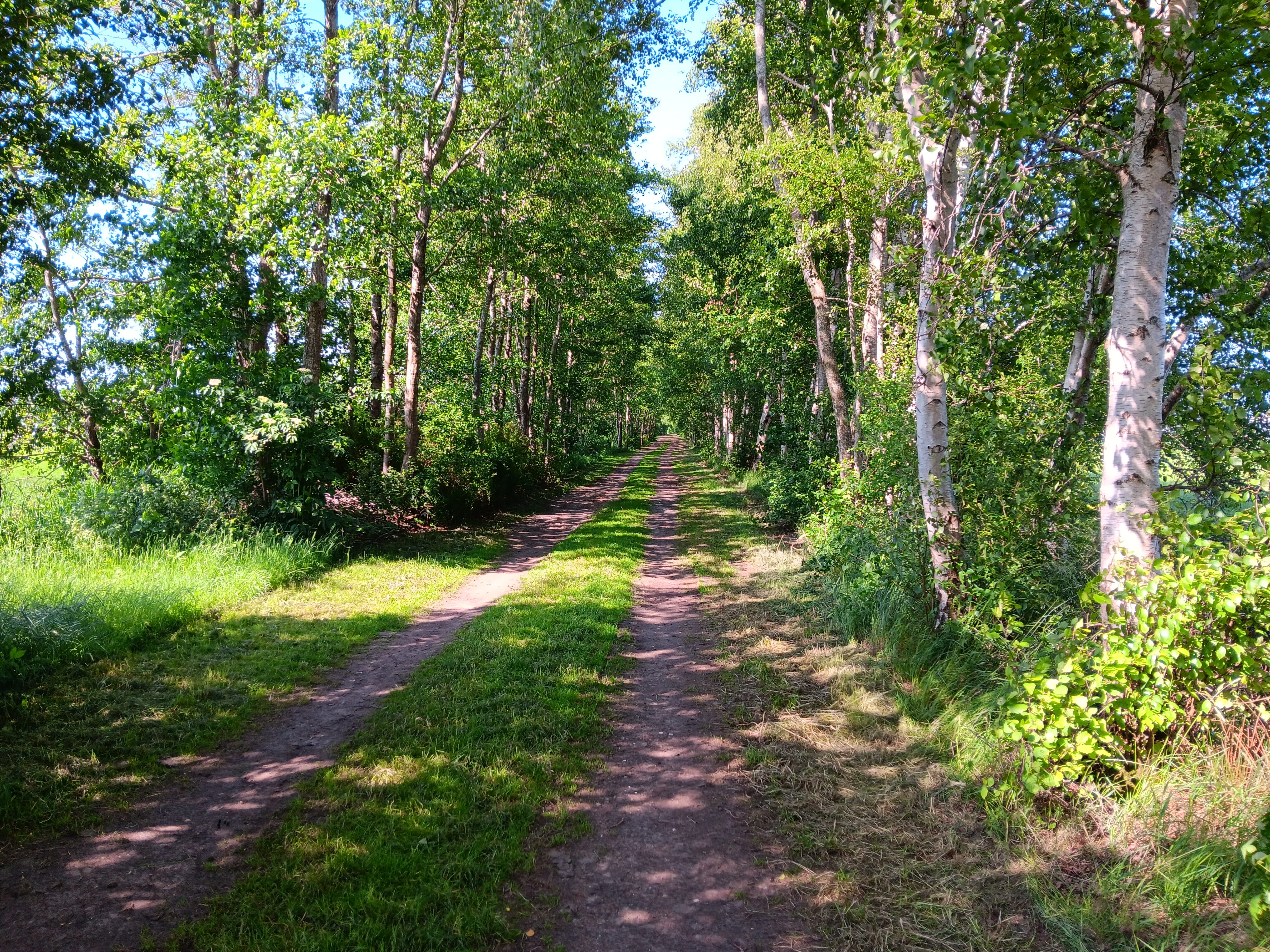Feldweg