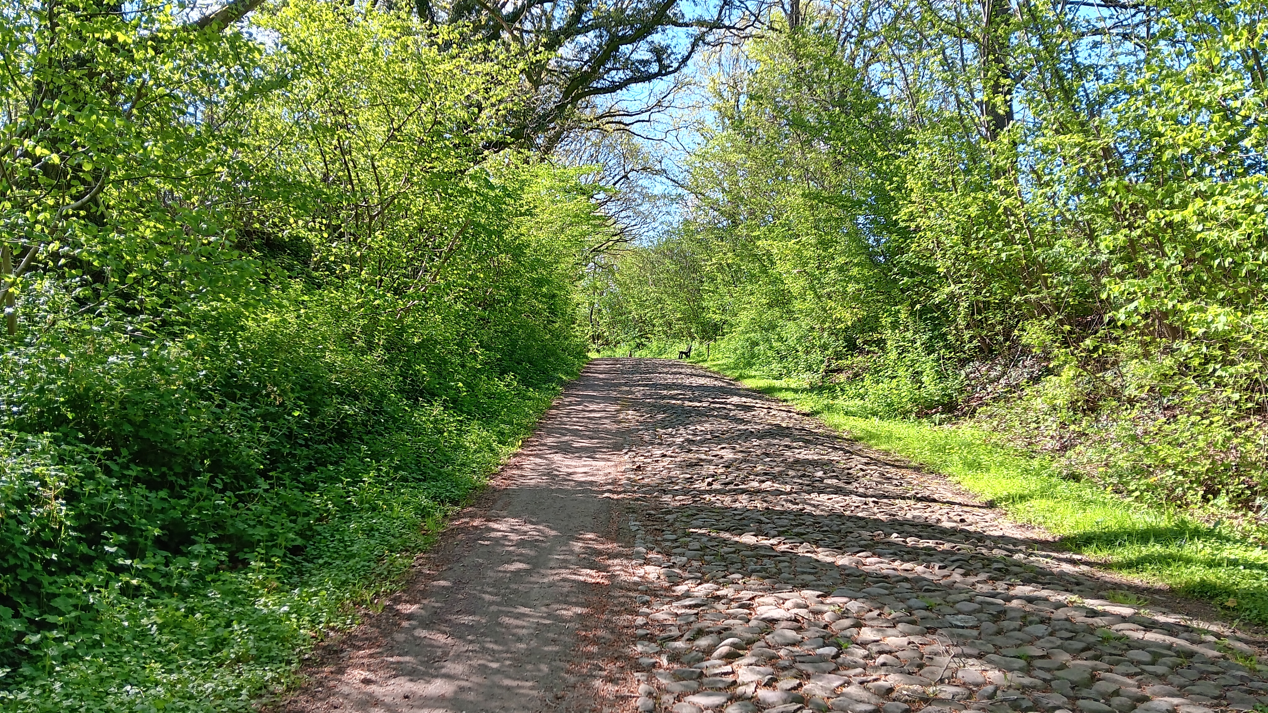 Hünning Ochsenweg