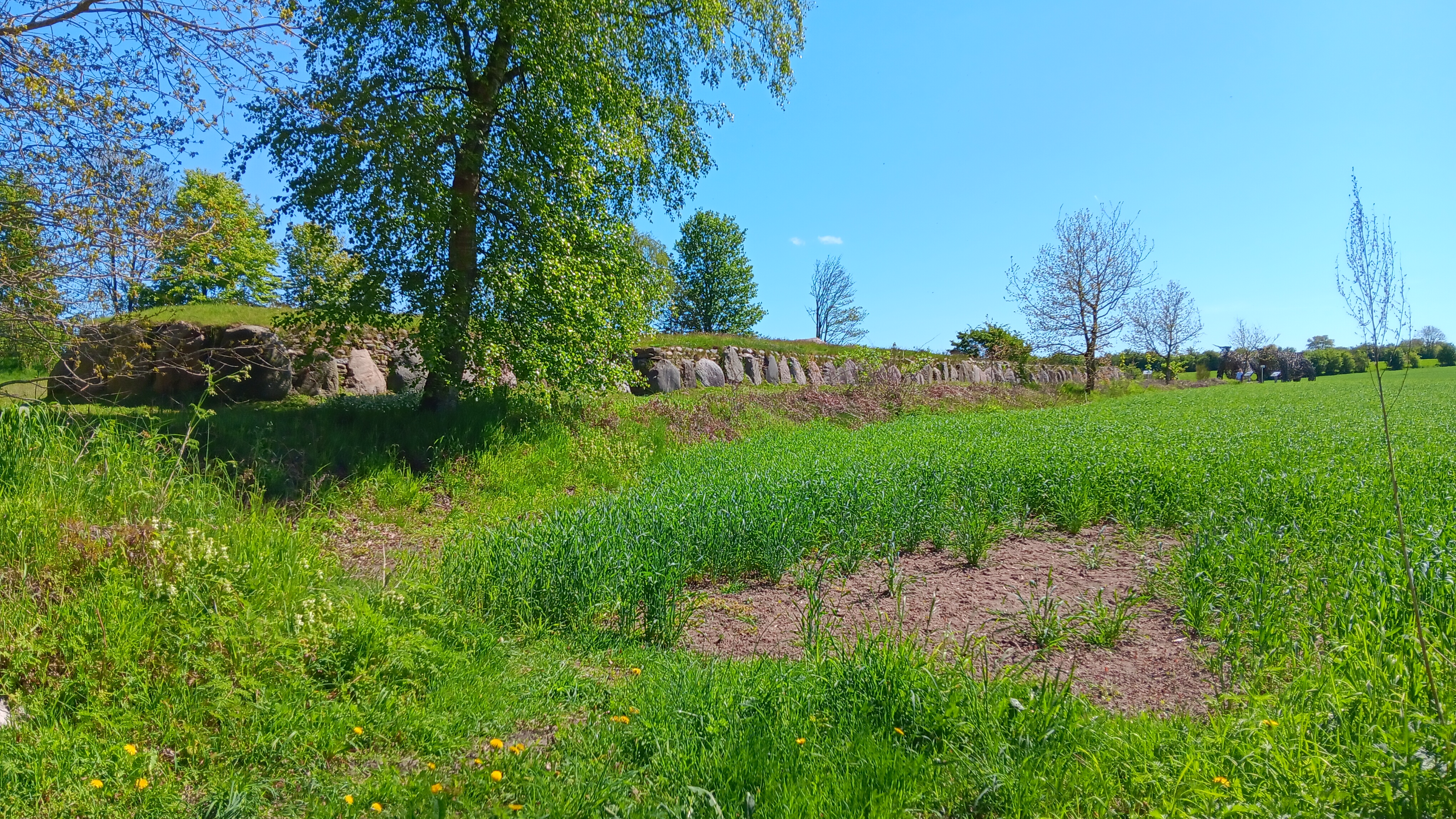 Jarplund