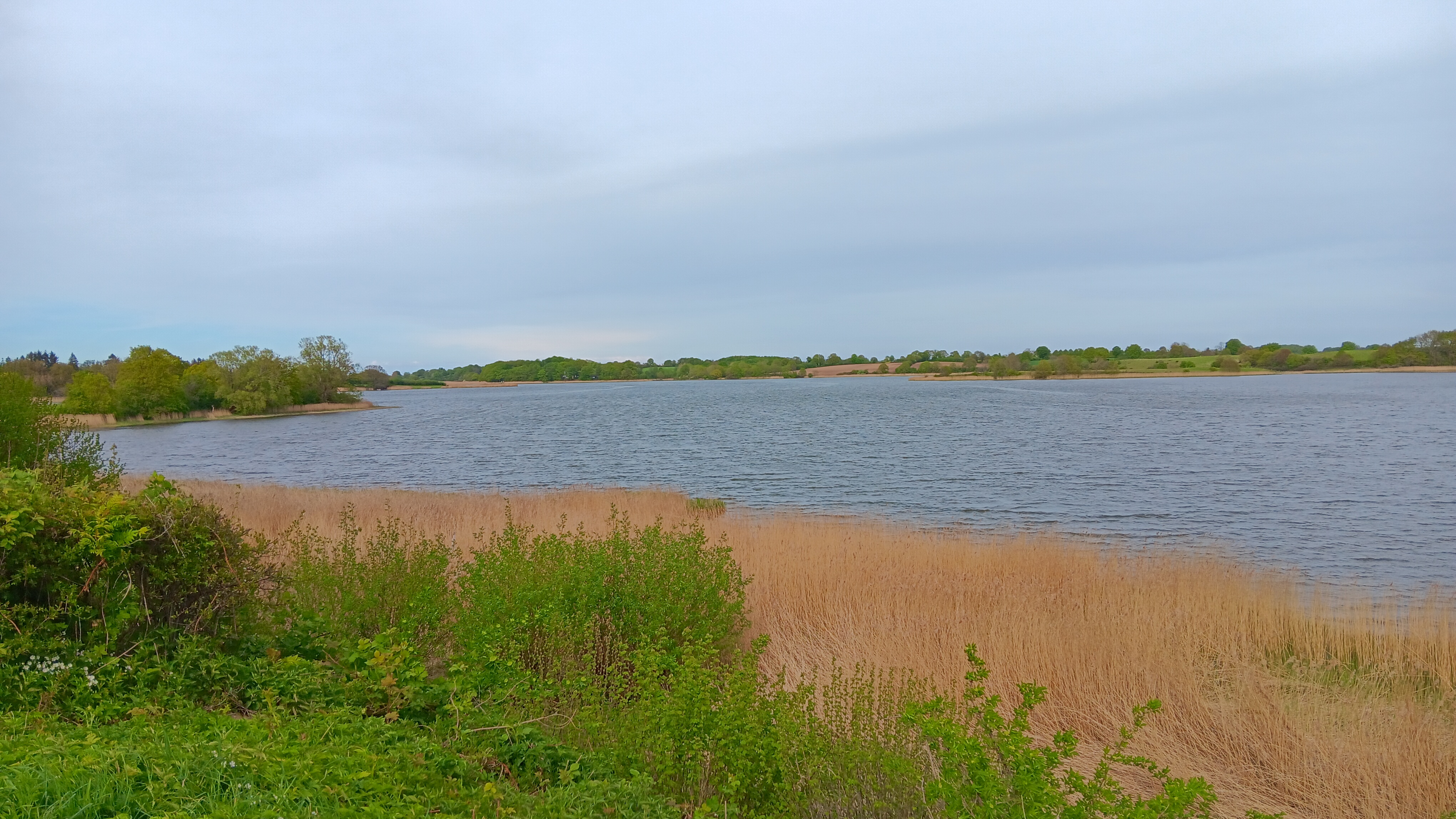 Missunde Schlei 2