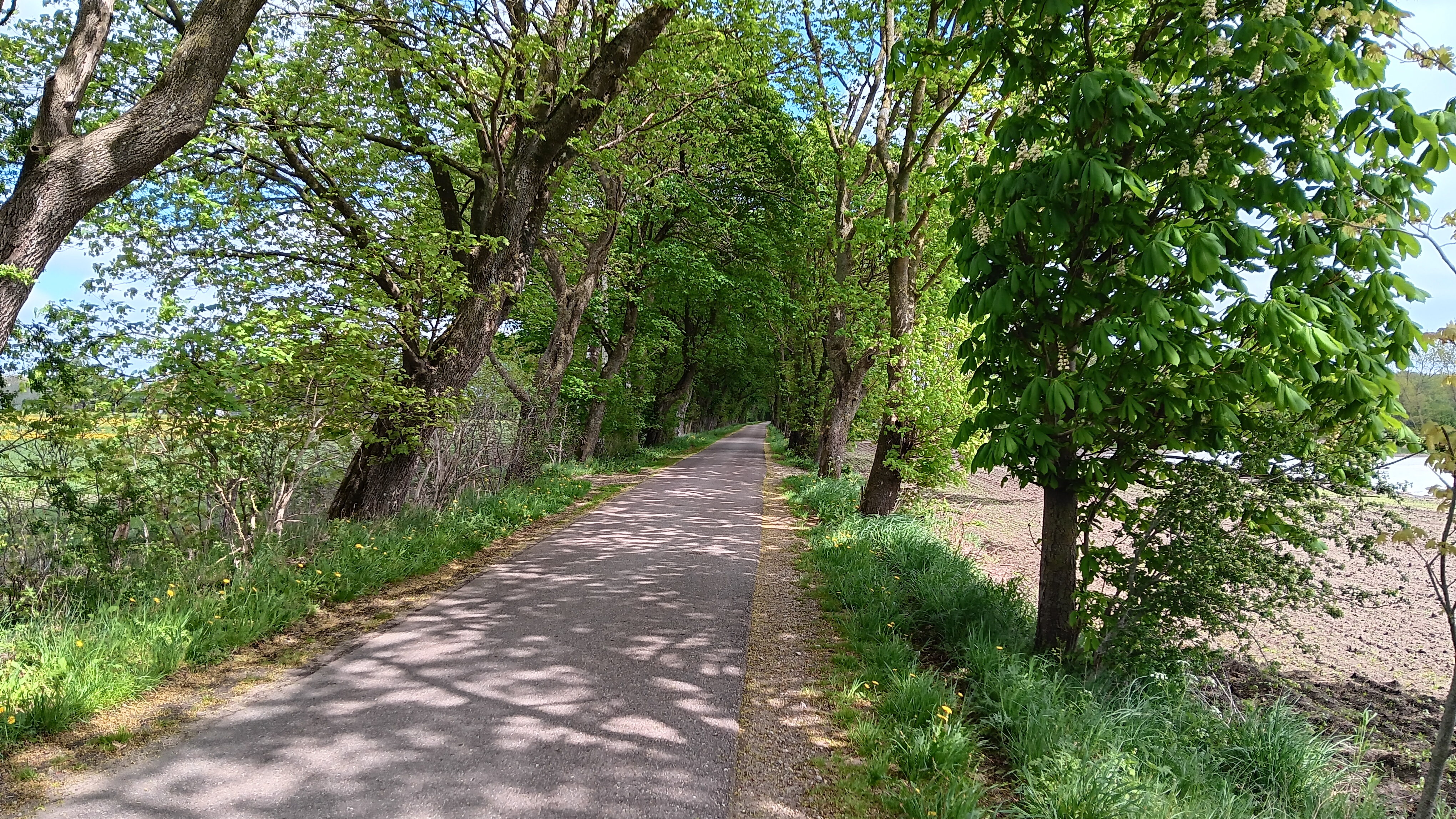 Padenstedt Weg 2